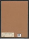 Pseudoeunotia ? schumannii Rabh. (de-Toni-Nr.: Genus 105, Species 3253) Zeichnungen Sammlung Grunow Mappe 03489 (Herbarium_W_Grunow_drawings_Folder_03489)